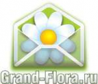 Логотип компании Доставка цветов Гранд Флора (ф-л г.Железноводск)